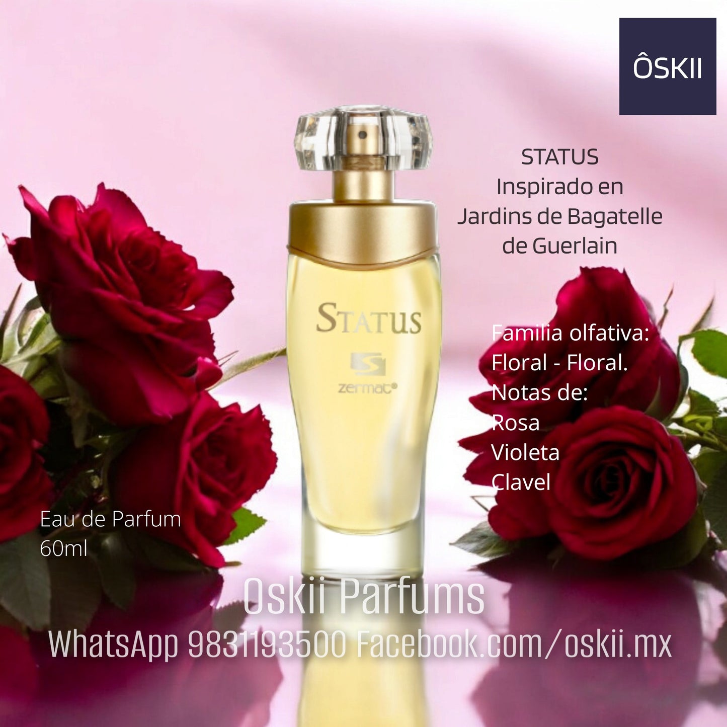 Status EDP