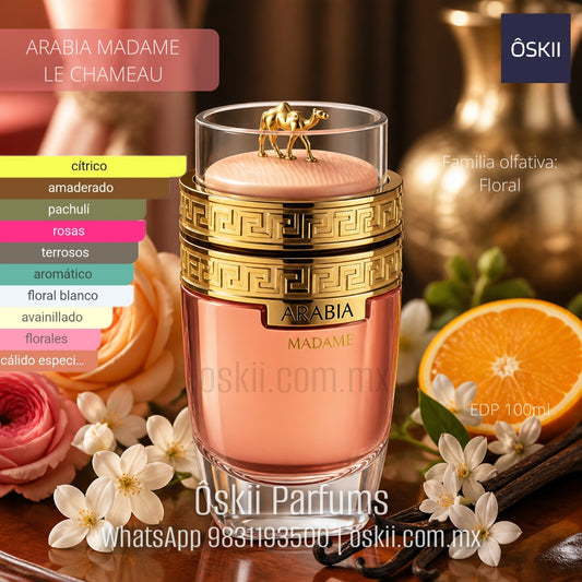 Le Chameau Arabia Madame